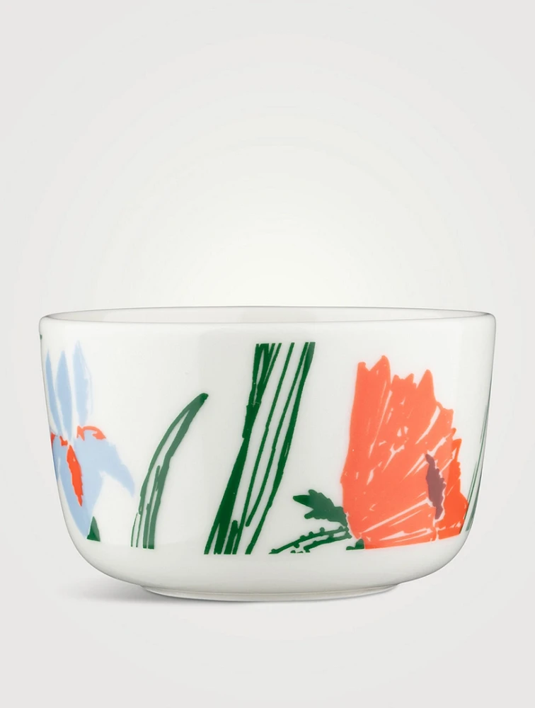 Oiva/Puutarhakutsut Bowl