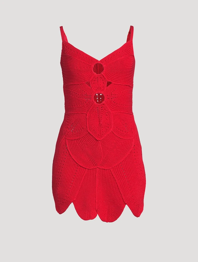 Marlow Knit Mini Dress