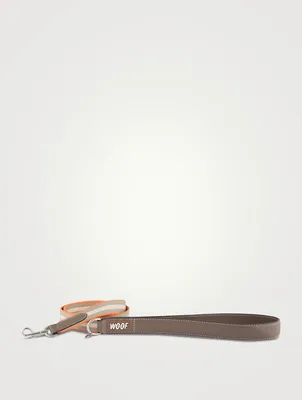 Dog Leash