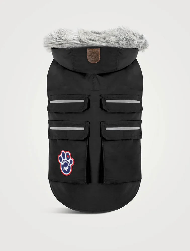 Everest Explorer Dog Vest
