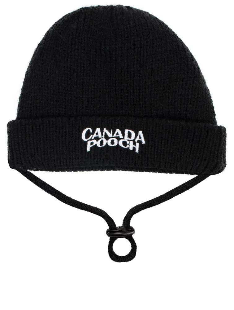 Large Basic Dog Beanie