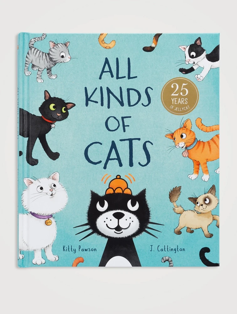 All Kinds Of Cats Book
