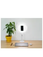 10-Inch Desk Ring Light