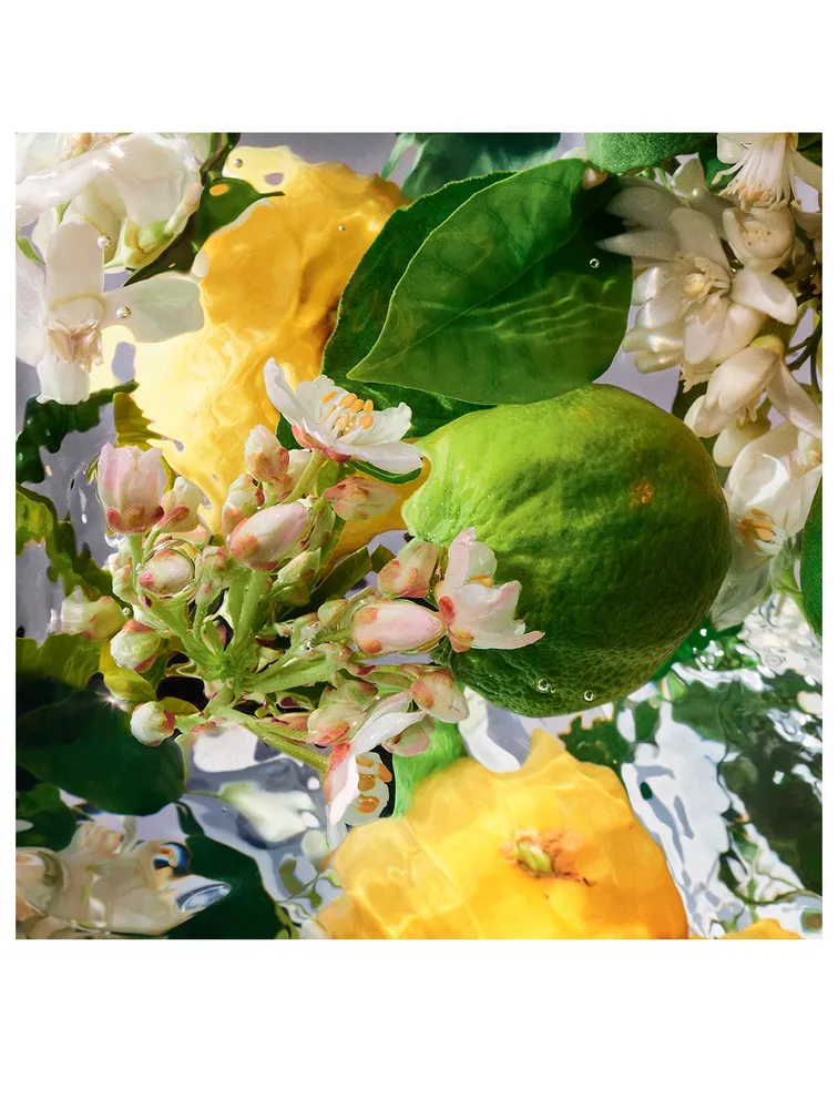 Aqua Allegoria Bergamote Calabria Eau de Toilette