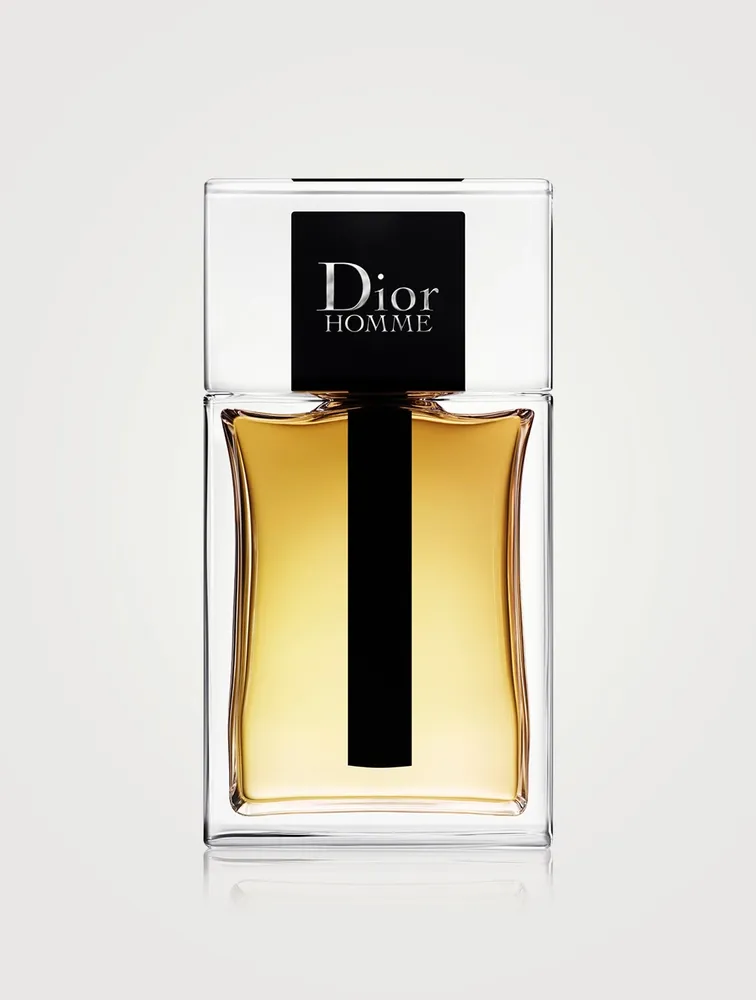 Dior Homme Eau de Toilette