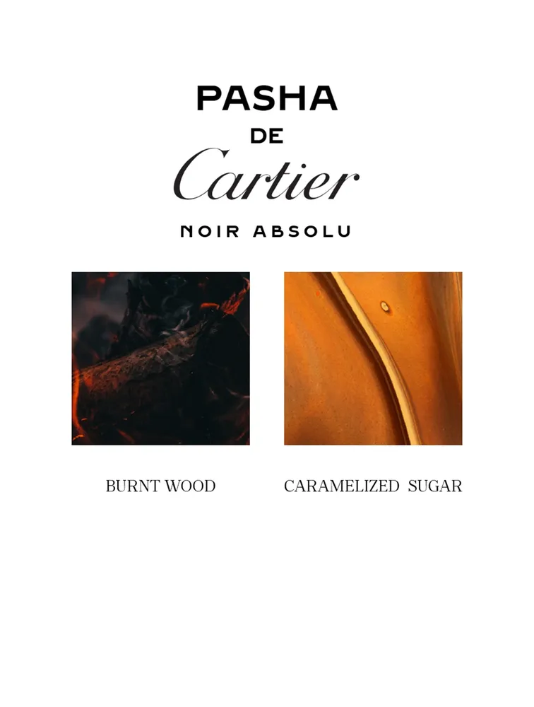 Pasha Noir Absolu Parfum