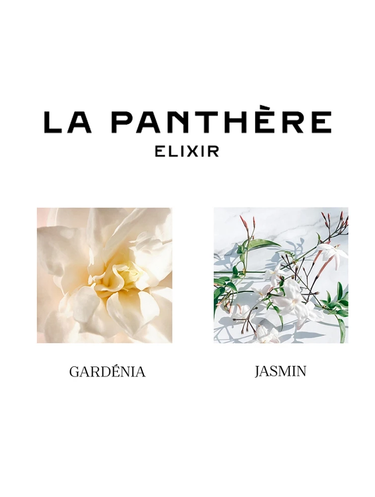 La Panthère Elixir