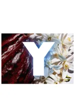 Y Live Eau de Toilette Intense