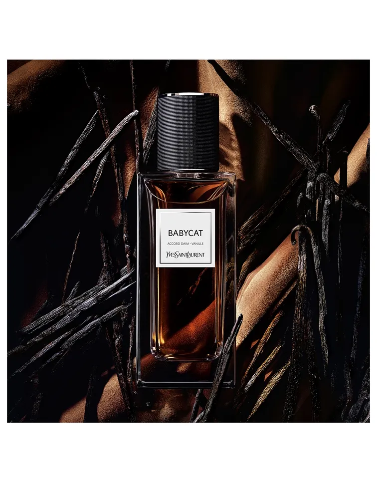 Babycat Le Vestiaire Des Parfums