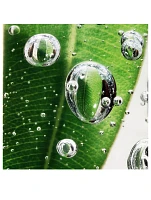 Pure Shots Eye Reboot Serum Concentrate