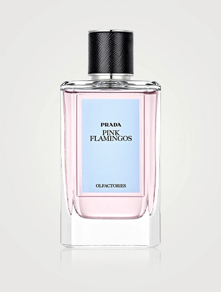 Pink Flamingos Eau de Parfum