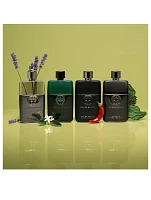 Guilty Essence Pour Homme Eau de Toilette for Men