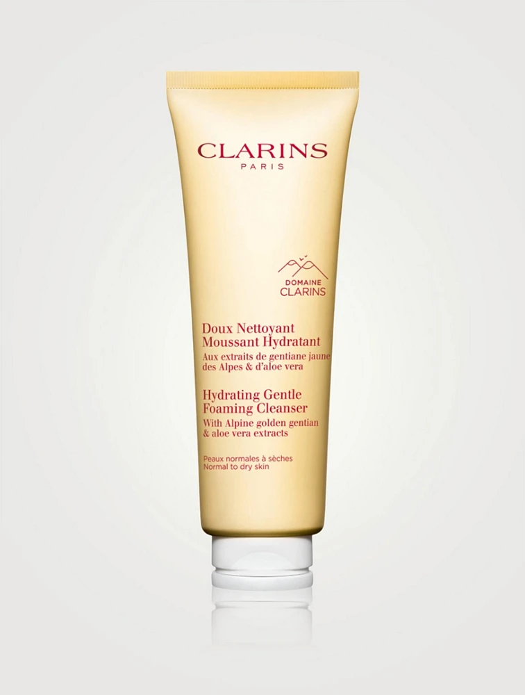 Hydrating Gentle Foaming Cleanser