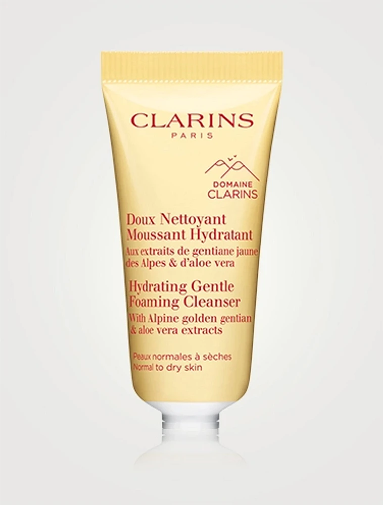 Hydrating Gentle Foaming Cleanser Gift