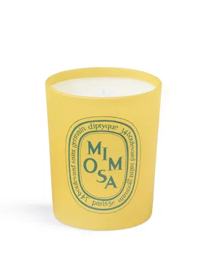 Mimosa Candle - Limited Edition