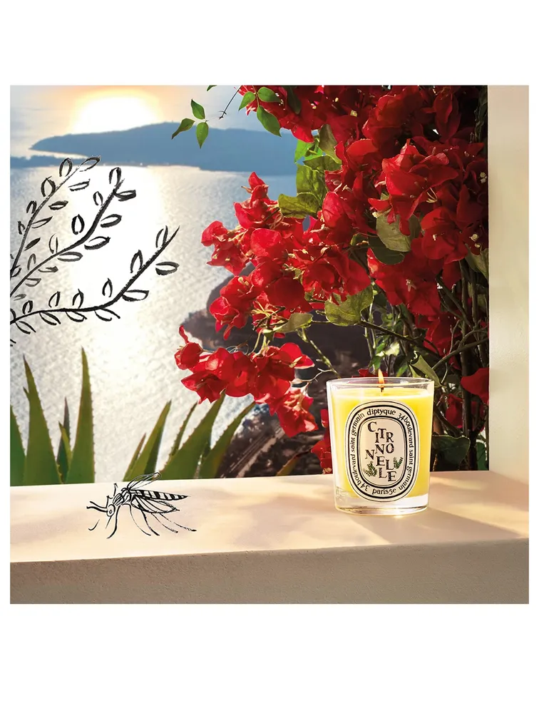 Citronnelle Candle - Limited Edition