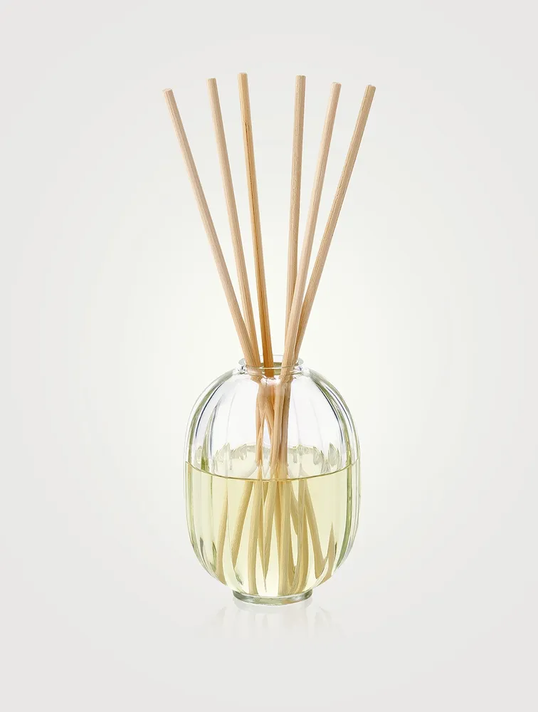Figuier (Fig) Fragrance Reed Diffuser