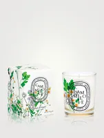 Camomille Candle - Limited Edition