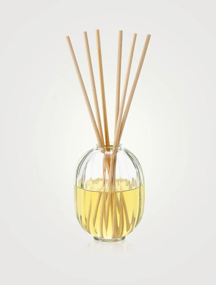 Fleur D'Oranger (Orange Blossom) Fragrance Reed Diffuser