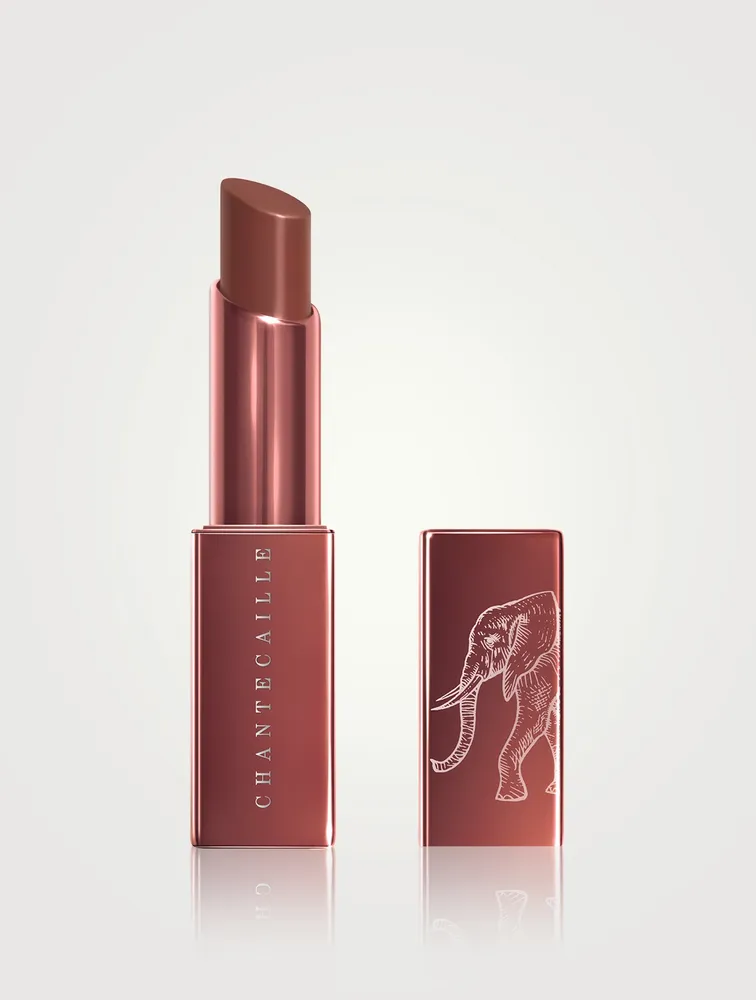 Lip Veil - Acacia