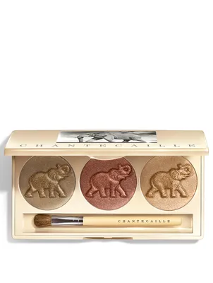 Safari Collection Eye Trio