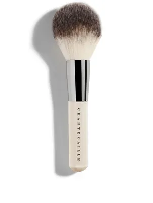 Face Brush