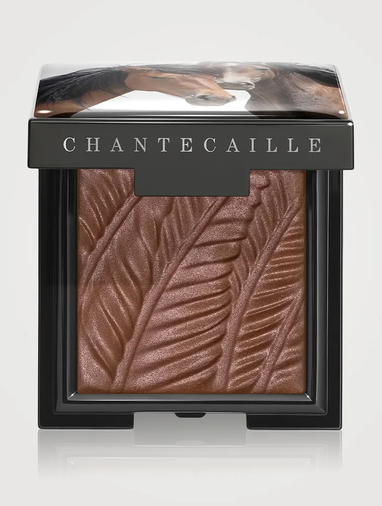 Matte Eye Shade
