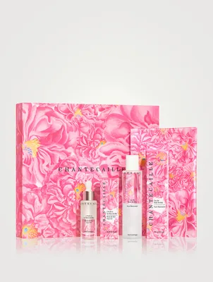 Harvest Set - John Derian Edition