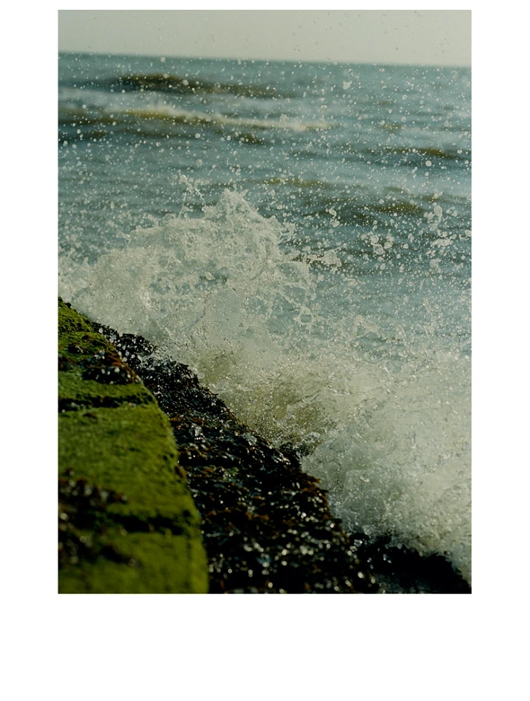 Wood Sage & Sea Salt Exfoliating Shower Gel