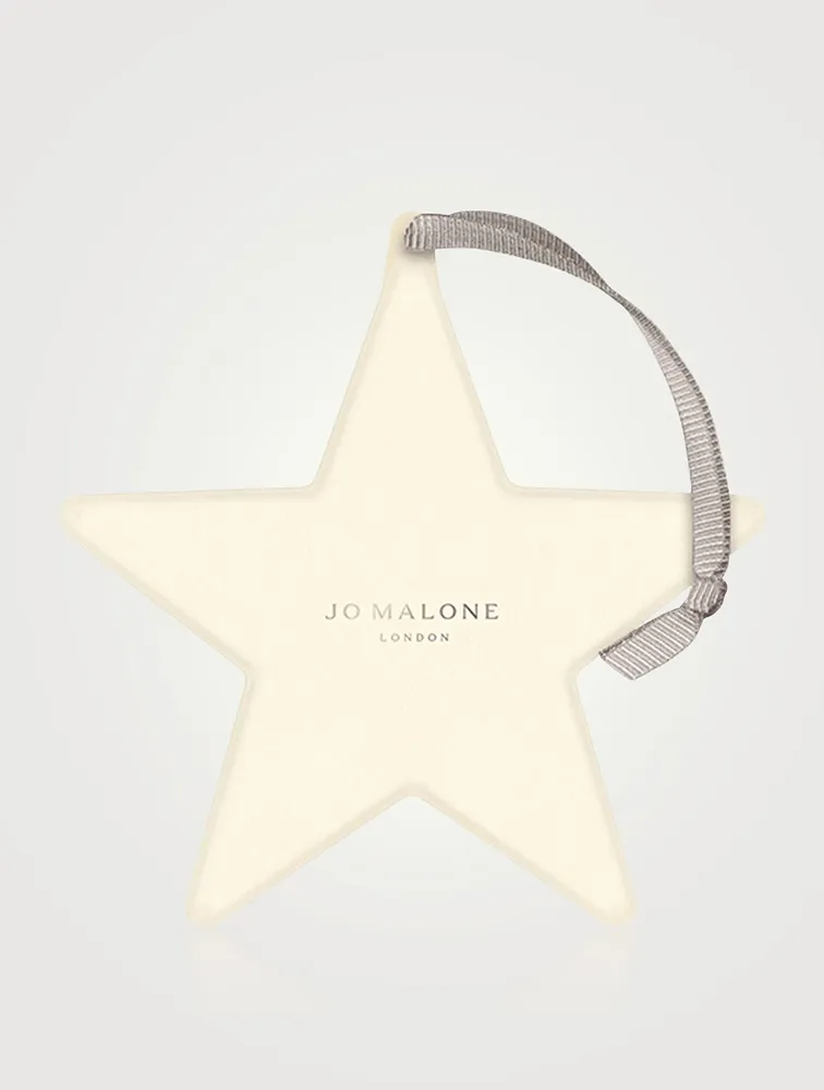 Silver Christmas Ornament