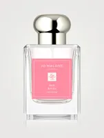 Special-Edition Red Roses Cologne