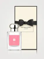 Special-Edition Red Roses Cologne