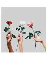 Special-Edition Red Roses Cologne