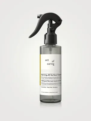 All Surface Cleanser