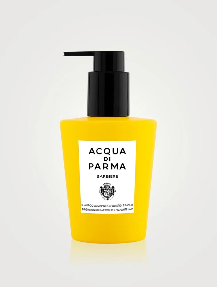 Brightening Shampoo For Grey And White Hair