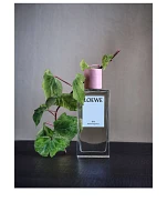Ivy Home Fragrance