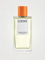 Orange Blossom Home Fragrance