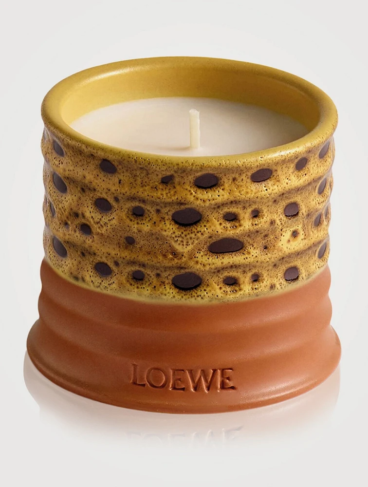 Mimosa Candle