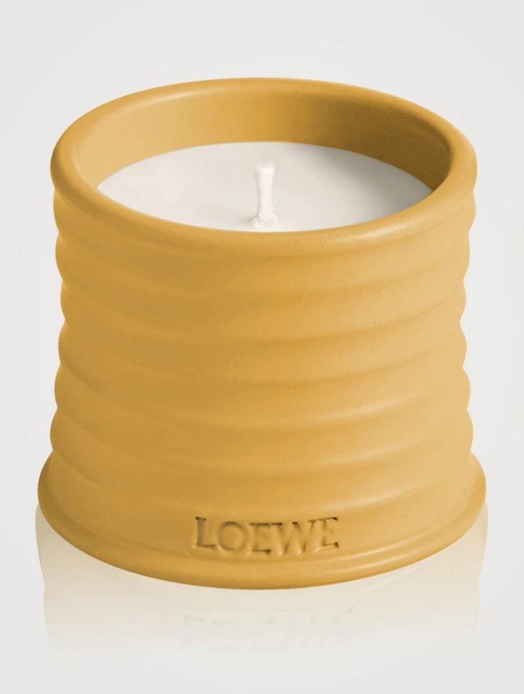 Wasabi Candle