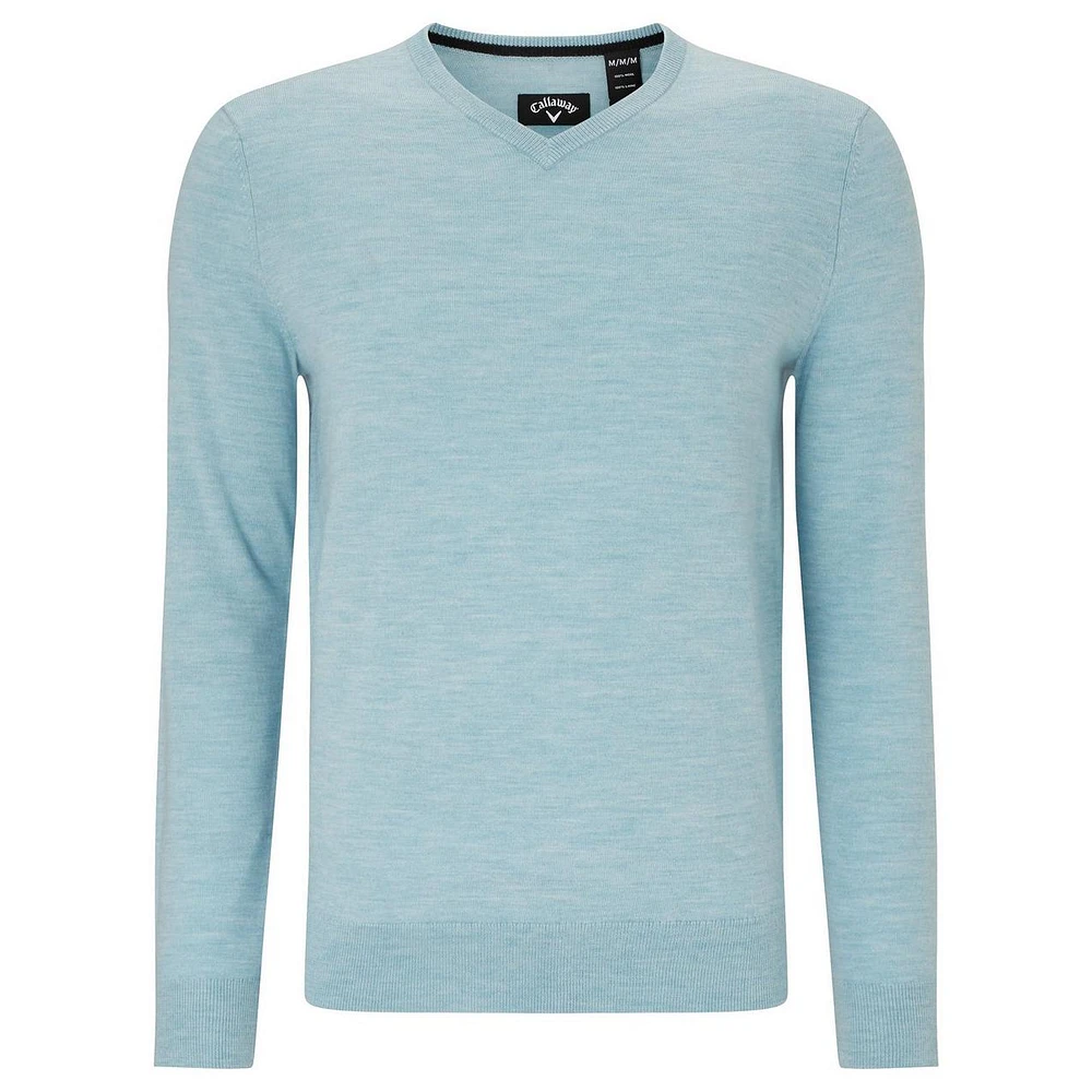 Men's Merino Solid V-Neck Sweater