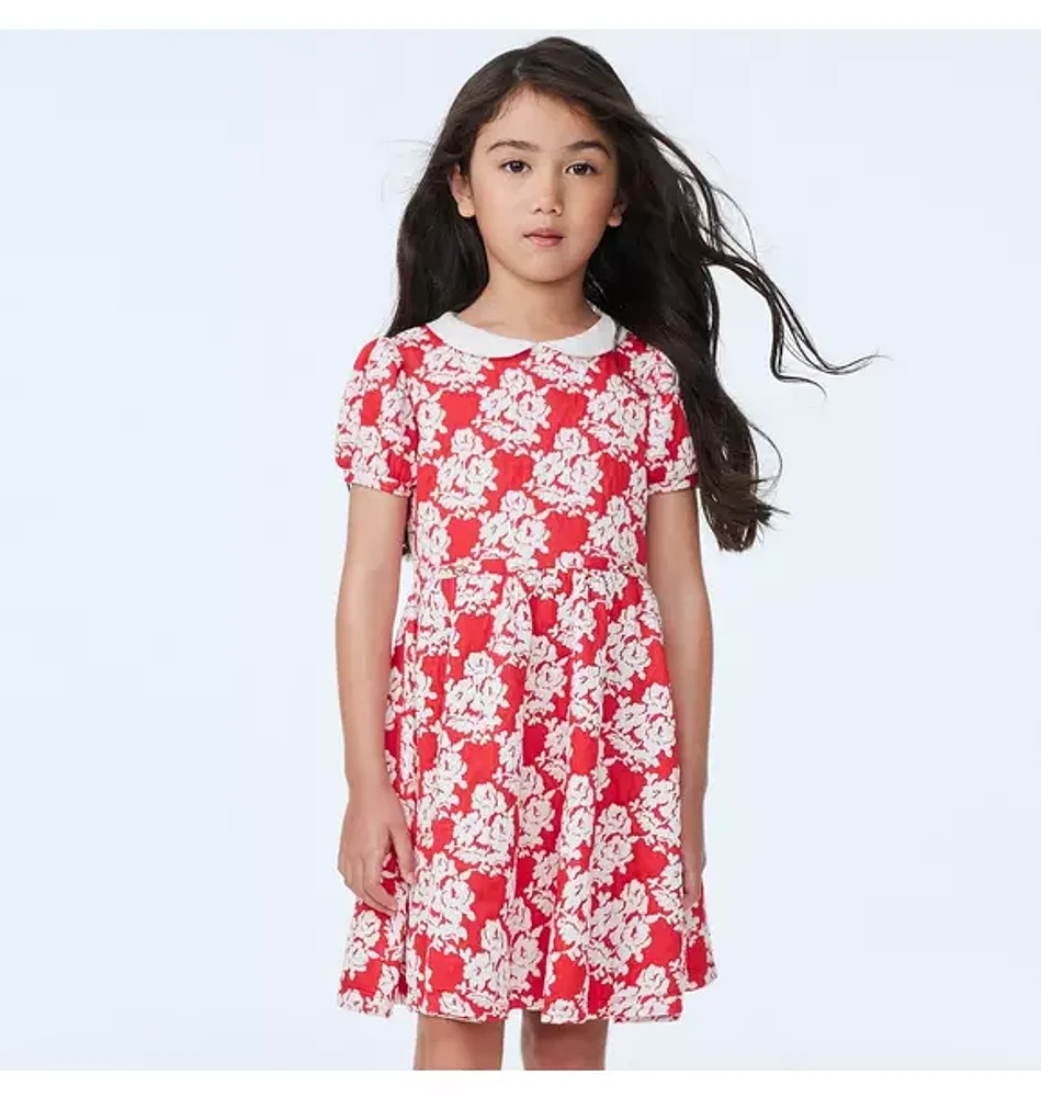 Rose Jacquard Collar Dress