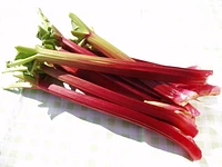 Rhubarb, Black, Sold in bunches