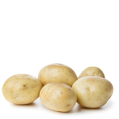 Pomme de terre blanches