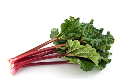 Rhubarb, Black, Sold in bunches