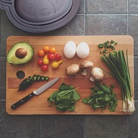 Siliplate silicone plate - Sparrow