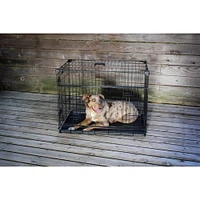 Lucky Dog Whisper Glide Inch Sliding Double Door Dog Crate