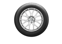 Uniroyal Tiger Paw Touring A/S 225/60R15 96H BSW tire