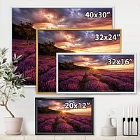 Designart Lever du soleil et nuages ​​dramatiques sur le champ de lavande IV ART MURAL À CADRE FLOTTÉ