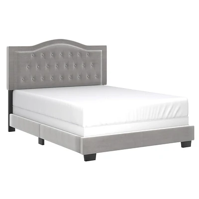 Grand lit moderne de 60 po revêtu de velours, gris pâle