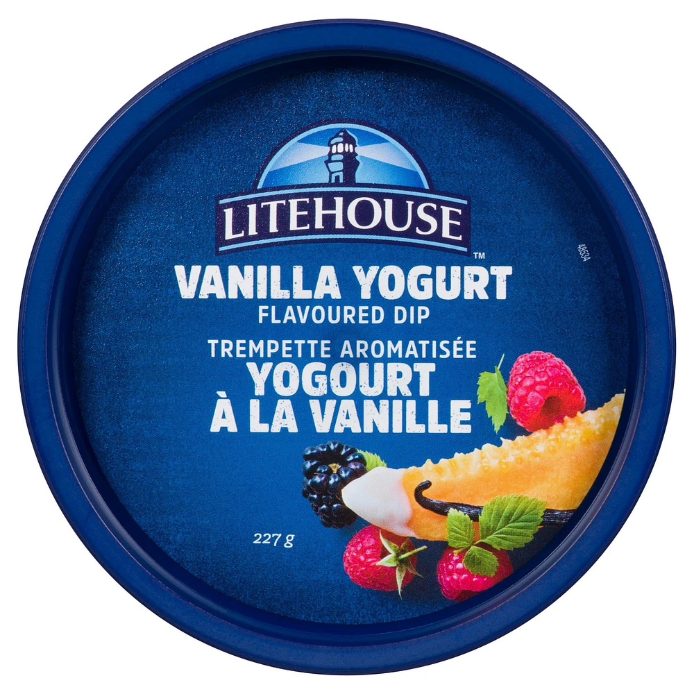 Litehouse Creamy Vanilla Yogurt Dip